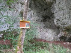 an der Bettelküche zw. Thiergarten u. Neumühle